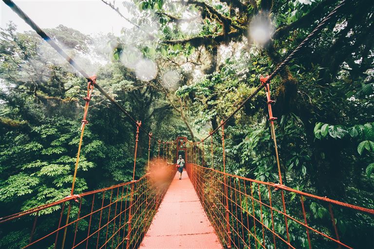 Costa Rica - Wandern im grünen Paradies ©Mariia Korneeva/adobestock